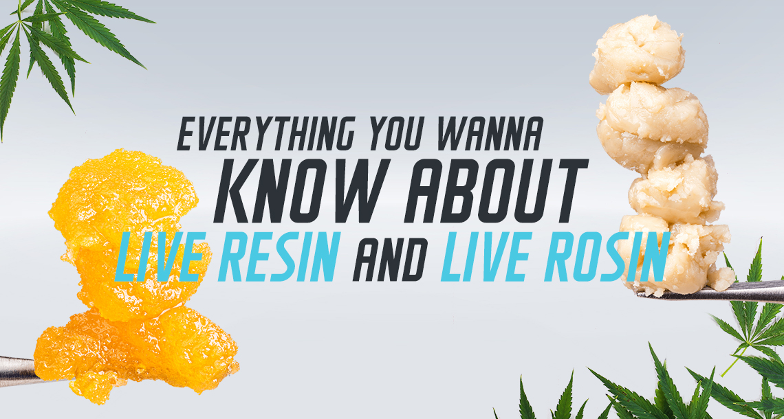 everything you wanna know about live resin and live rosin