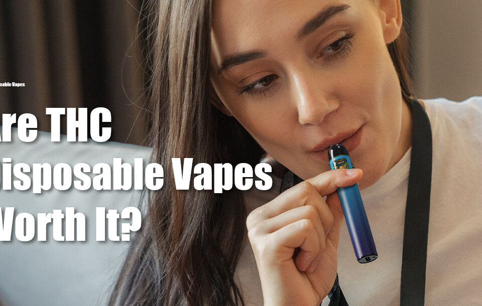 Are THC Disposable Vapes Worth It