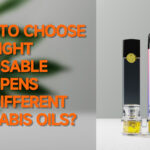 How To Choose the Right Disposable Vape Pens for Different Cannabis Oils