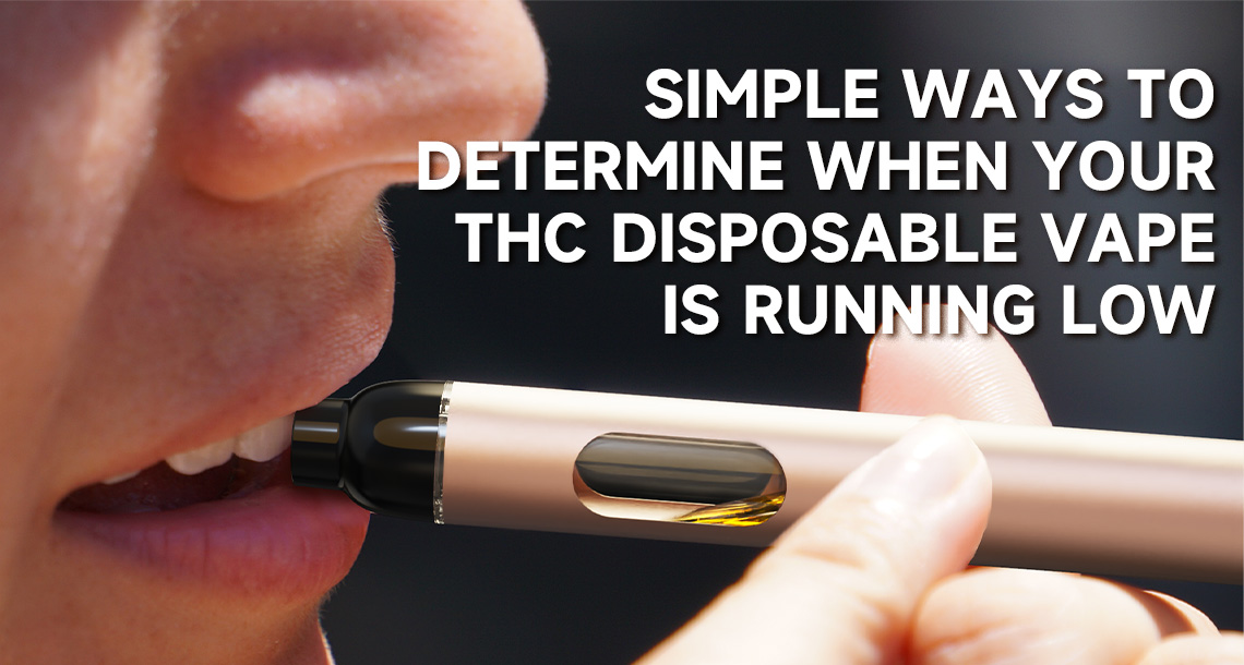 What to Know Before You Buy a Disposable Rechargeable Weed Vape