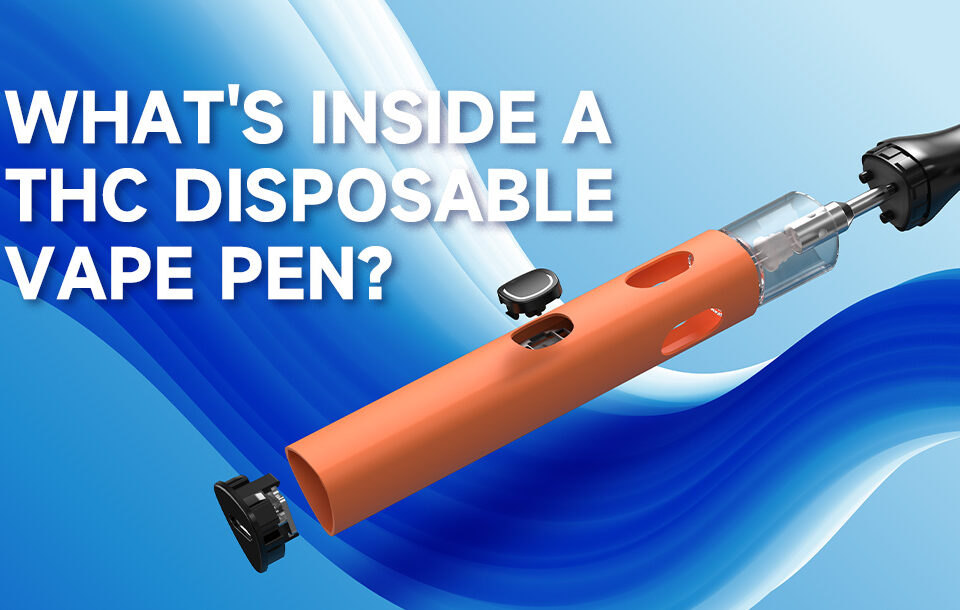 What's Inside a THC Disposable Vape Pen