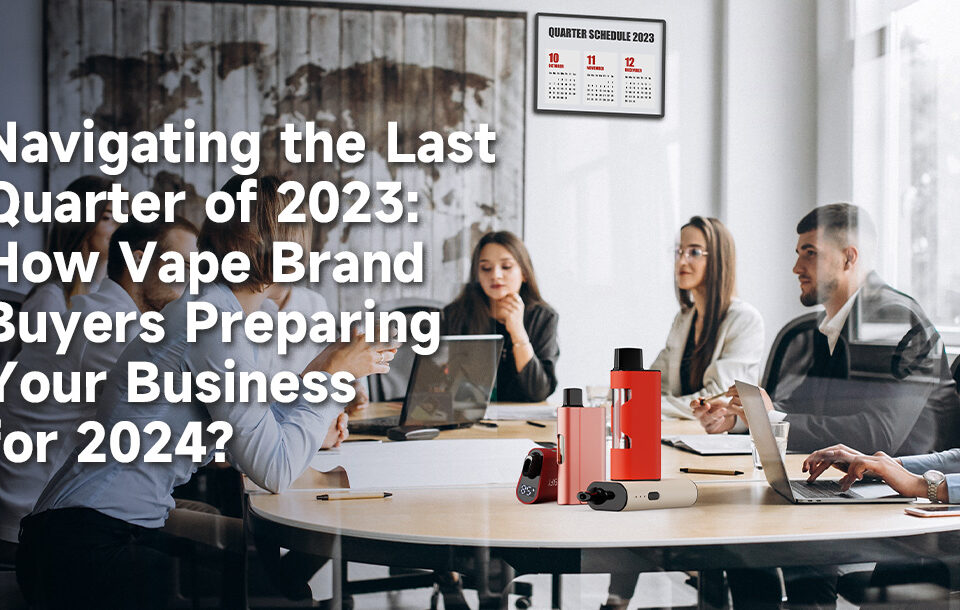 How Vape Brand Buyers Preparing Your Business for 2024