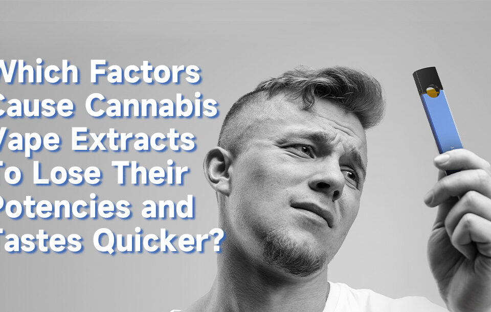 Which Factors Cause Cannabis Vape Extracts To Lose Their Potencies and Tastes Quicker